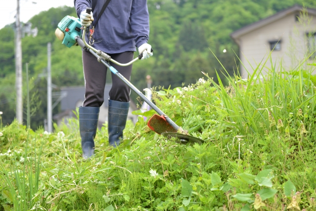 串間市で草刈りに最適な年3回の時期～楽に草刈りを終えるコツまで徹底解説
