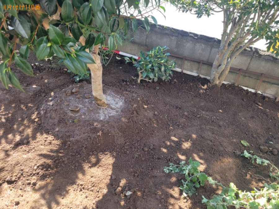 椿の木を別の場所へ植え替える作業ご依頼　お客様の声